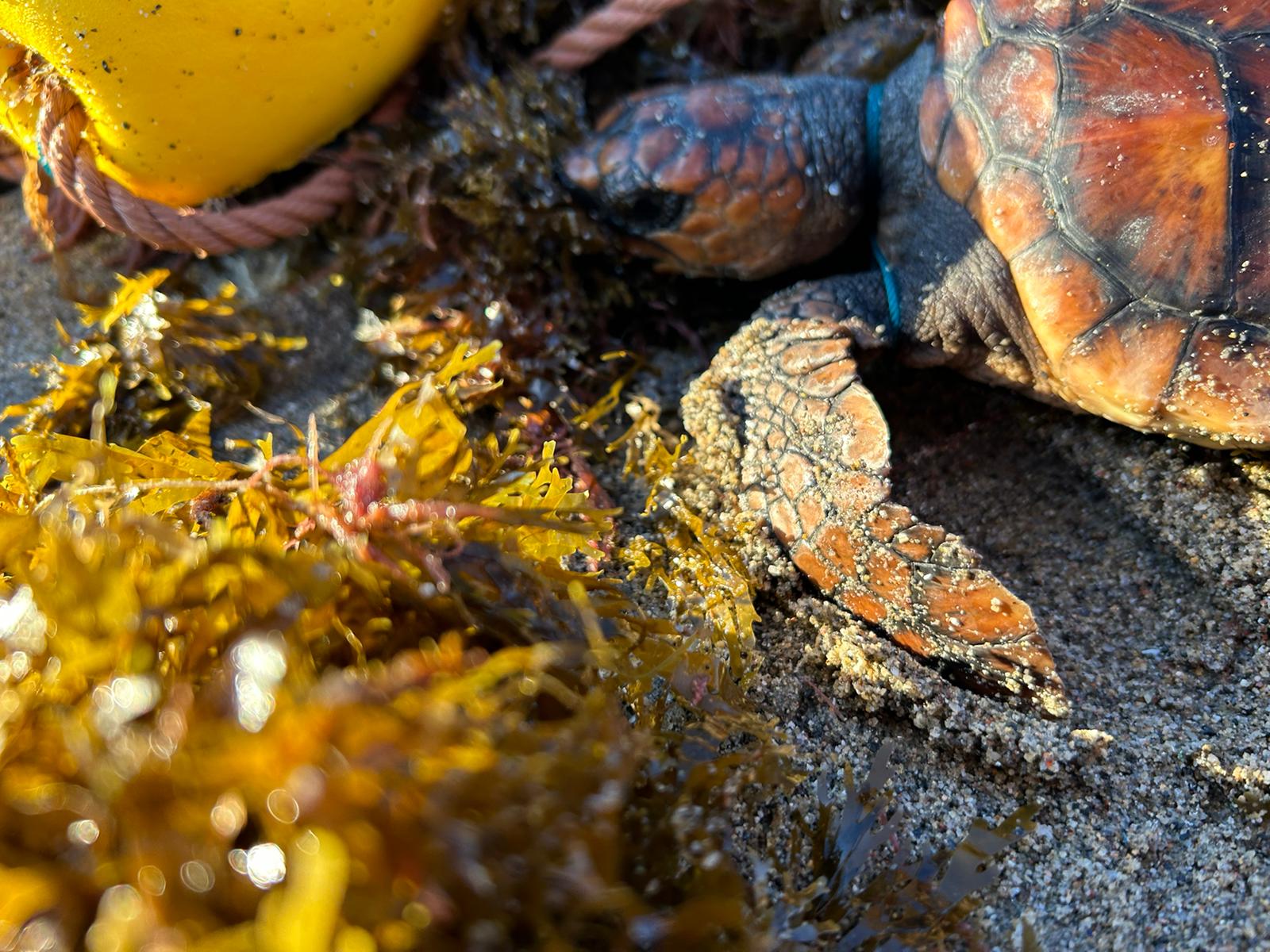 Más de Uno Ceuta 8/5/23 Más de Uno Ceuta 8/5/23