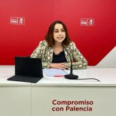 El PSOE califica de incapaz y mentiroso al equipo de Gobierno del Ayuntamiento tras conocer la resolución de la III Convocatoria de los Planes de Sostenibilidad Turística en Destino