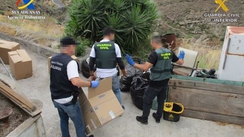 Desmantelan una banda criminal y detienen a tres personas en Tenerife por cultivo y tráfico de hachís &#39;Drysift&#39;