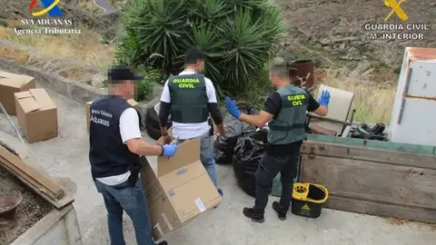Desmantelan una banda criminal y detienen a tres personas en Tenerife por cultivo y tráfico de hachís 'Drysift' Desmantelan una banda criminal y detienen a tres personas en Tenerife por cultivo y tráfico de hachís 'Drysift'