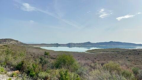 Sequía en el Embalse de la Pedrera (Orihuela)