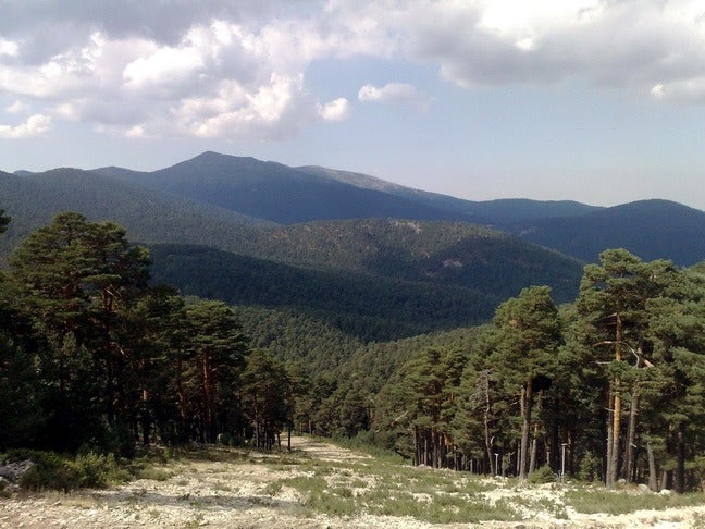 Primera parte del Camino Schmid en la Sierra de Guadarrama Primera parte del Camino Schmid en la Sierra de Guadarrama