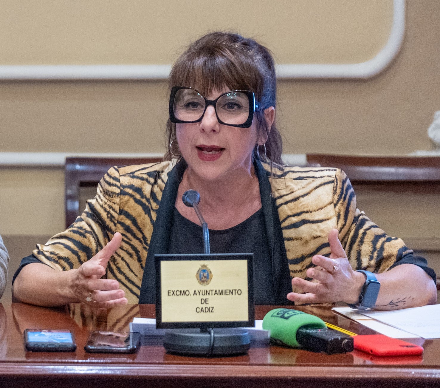 Cádiz, uno de los tres municipios beneficiarios de los últimos Next Generation para planes de sostenibilidad turística Cádiz, uno de los tres municipios beneficiarios de los últimos Next Generation para planes de sostenibilidad turística