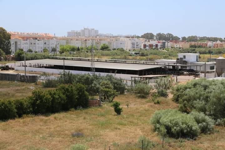 El Ayuntamiento de Rota asegura que el TSJA ha condenado a la Junta por no colaborar con la clausura de la vaqueriza El Ayuntamiento de Rota asegura que el TSJA ha condenado a la Junta por no colaborar con la clausura de la vaqueriza