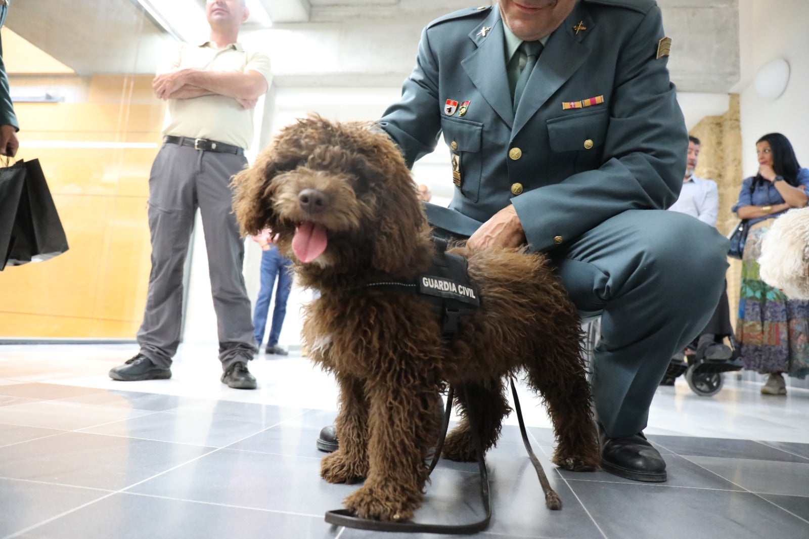 La historia de Enzo: el nuevo agente de la Guardia Civil con ADN de San Fernando La historia de Enzo: el nuevo agente de la Guardia Civil con ADN de San Fernando