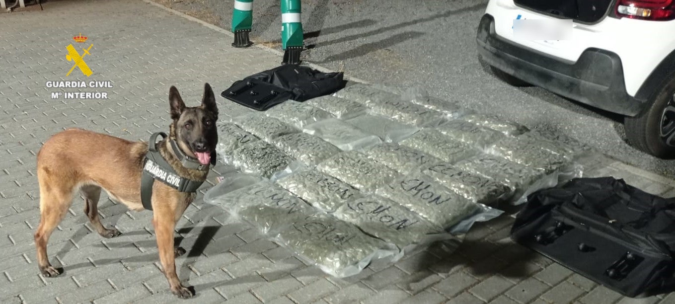 Detenido con 26 kilogramos de marihuana y polen de hachís en la AP-7 de Cabanes Detenido con 26 kilogramos de marihuana y polen de hachís en la AP-7 de Cabanes