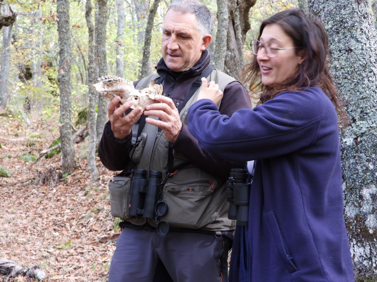 La Brújula de Castilla y León. La Legua con Julio César Izquierdo. Especial ecoturismo y ornitología La Brújula de Castilla y León. La Legua con Julio César Izquierdo. Especial ecoturismo y ornitología
