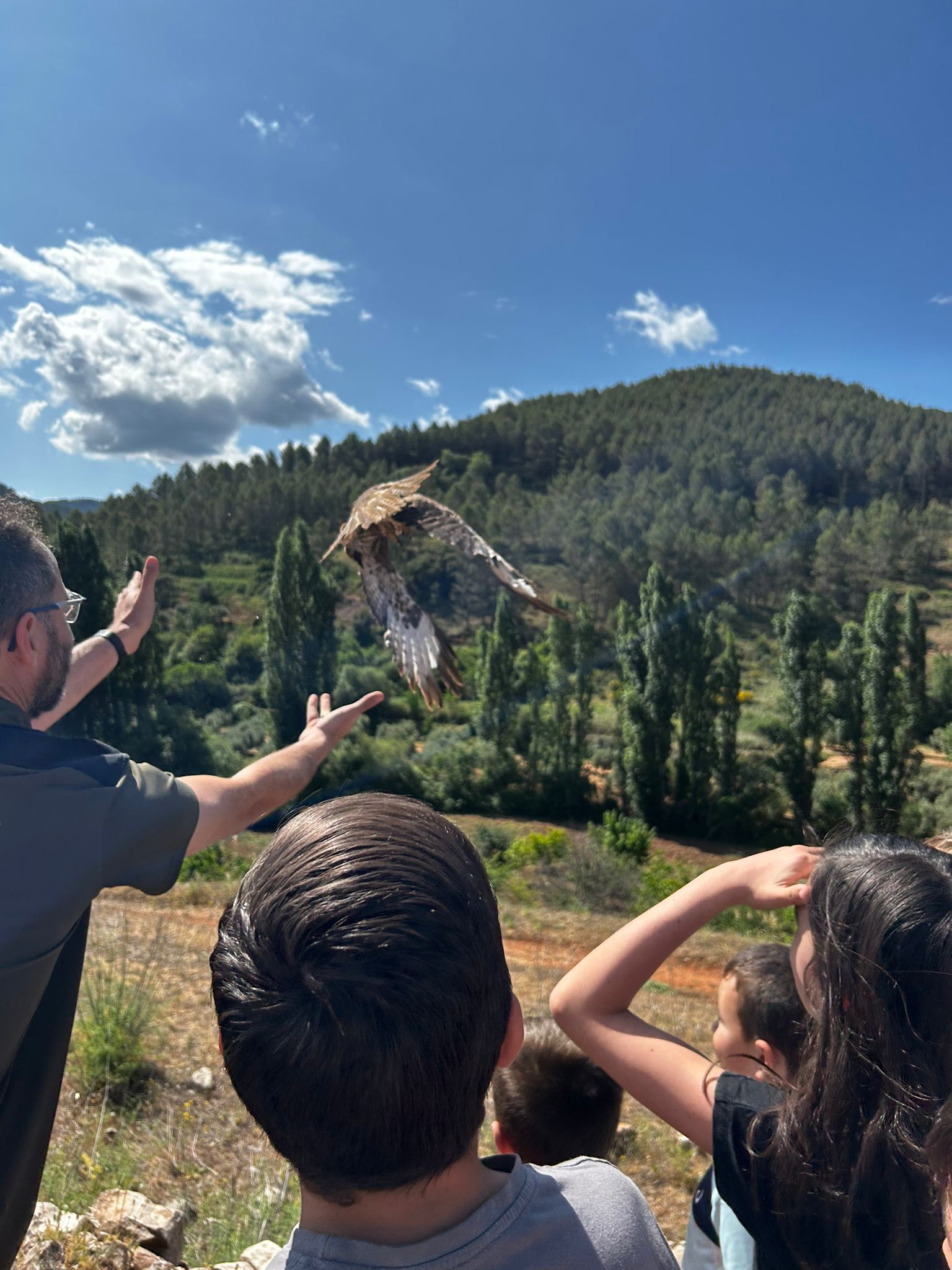 Devuelto al medio natural un busardo ratonero tras su recuperación en el Centro de la Fauna Silvestre de Albacete Devuelto al medio natural un busardo ratonero tras su recuperación en el Centro de la Fauna Silvestre de Albacete