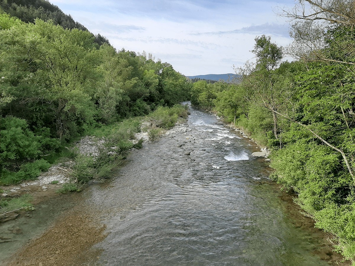Jaca limita el riego por la escasez de agua Jaca limita el riego por la escasez de agua