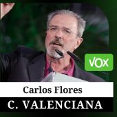 Quién es Carlos Flores, candidato de Vox a la presidencia de la Generalitat Valenciana
