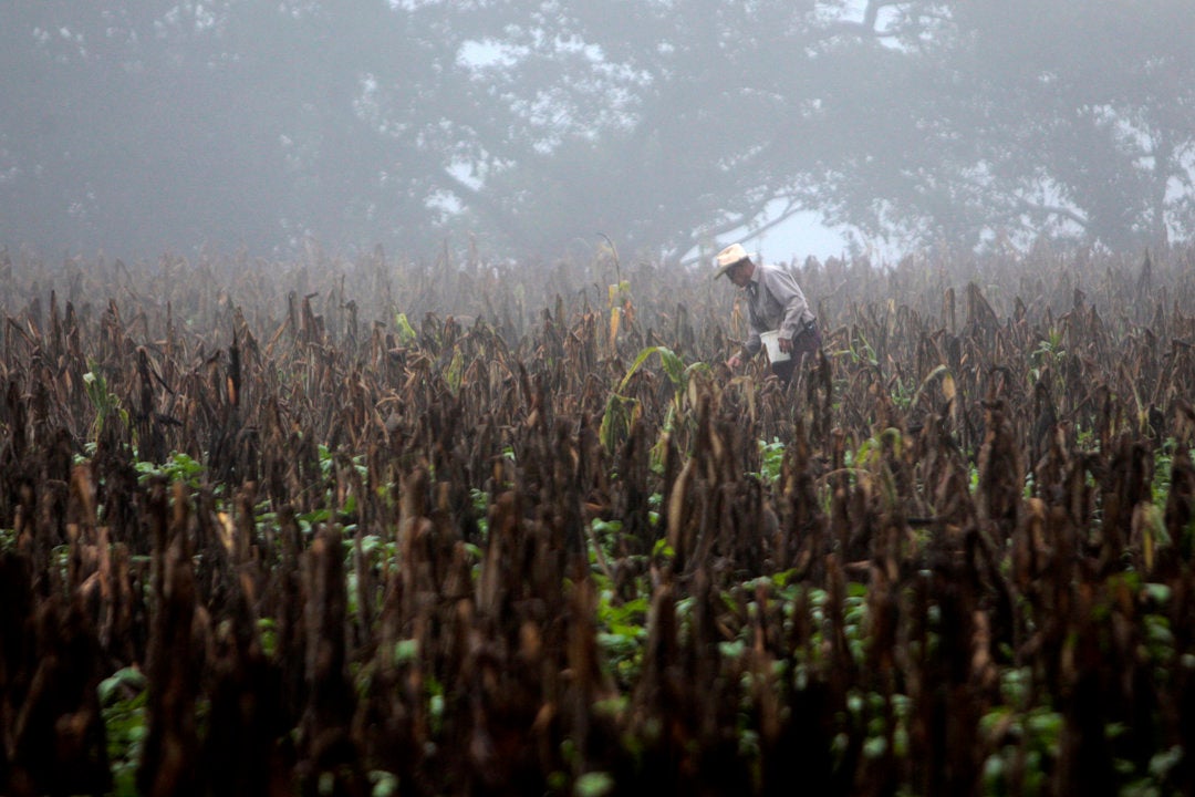El cambio climático y El Niño provocarán una temperatura global "sin precedentes" en los próximos 5 años El cambio climático y El Niño provocarán una temperatura global "sin precedentes" en los próximos 5 años