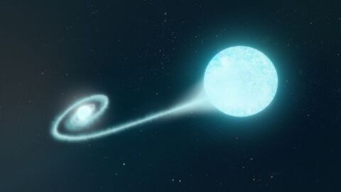 La primera deteccion en radio de una supernova de tipo Ia arroja luz sobre su origen