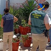 Agentes de la Guardia Civil y la Agencia Tributaria en la Operación "Patrycios"
