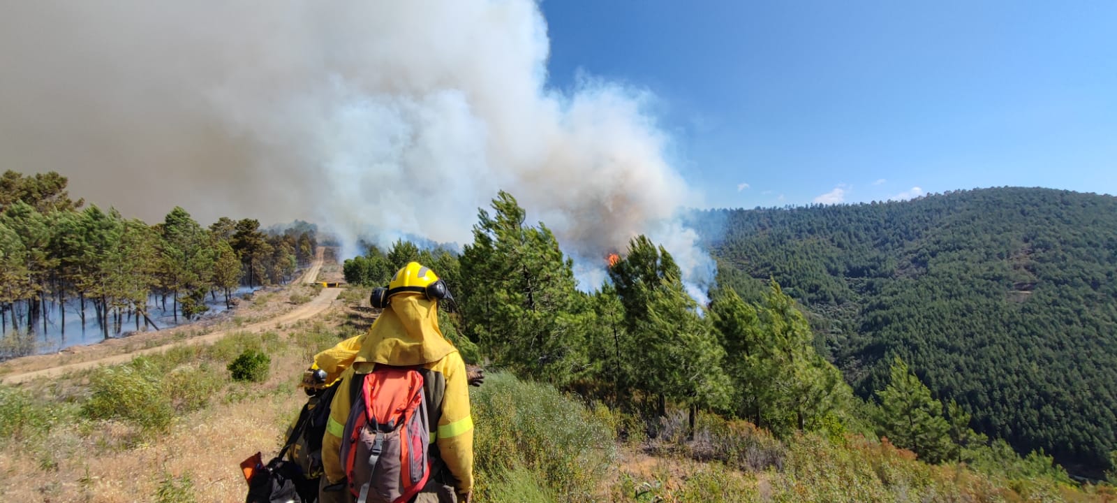 El incendio en Las Hurdes arrasa 9.000 hectáreas y llega a la sierra de Gata El incendio en Las Hurdes arrasa 9.000 hectáreas y llega a la sierra de Gata