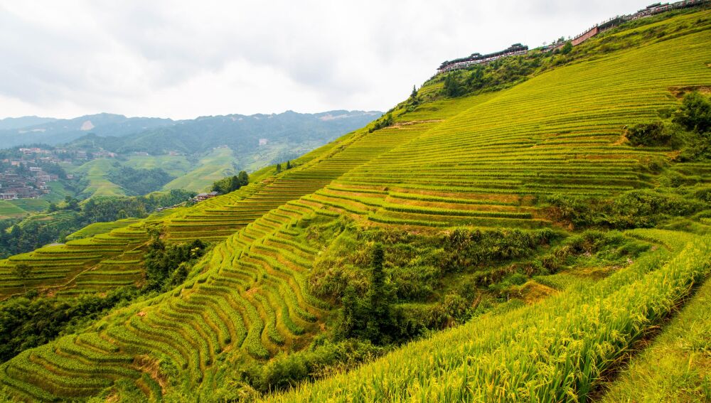 Los campos de Guilín