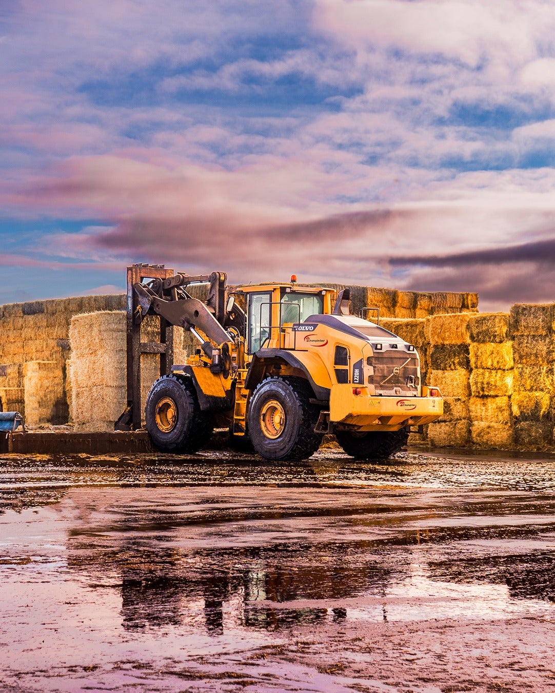 Champinter avisa: los precios de la paja complican la viabilidad del cultivo del champiñón Champinter avisa: los precios de la paja complican la viabilidad del cultivo del champiñón