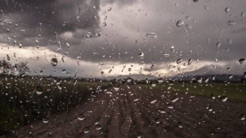agricultura