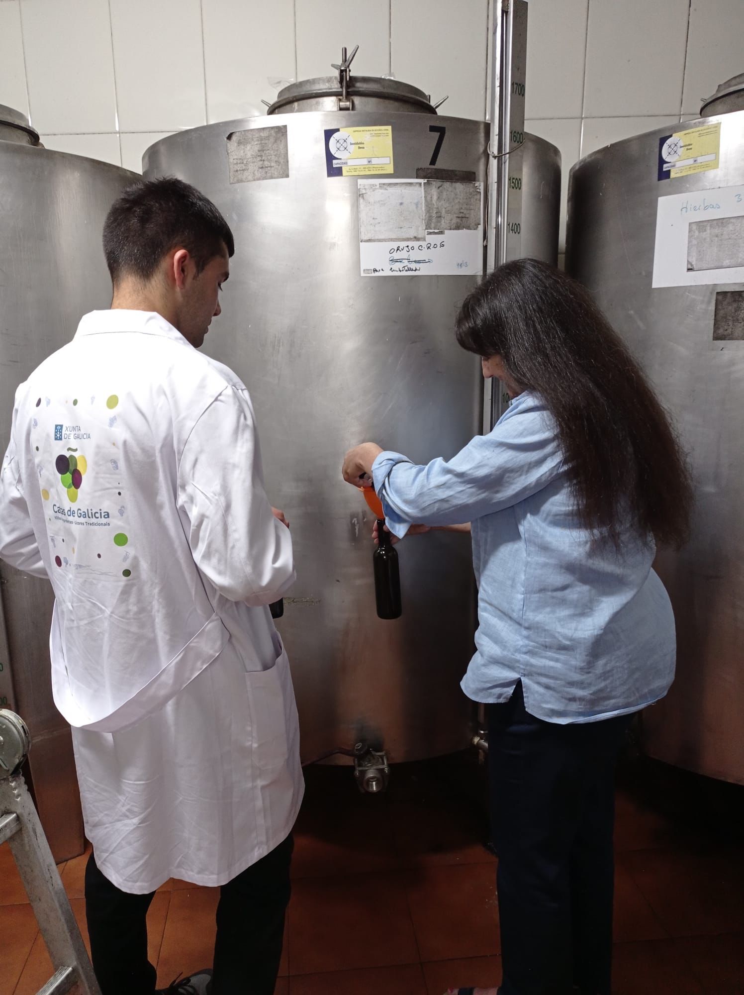 Recollida de mostras para a cata dos viños e licores tradicionais de Galicia Recollida de mostras para a cata dos viños e licores tradicionais de Galicia