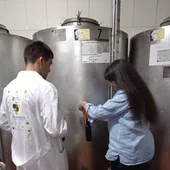 Recollida de mostras para a cata dos viños e licores tradicionais de Galicia Recollida de mostras para a cata dos viños e licores tradicionais de Galicia