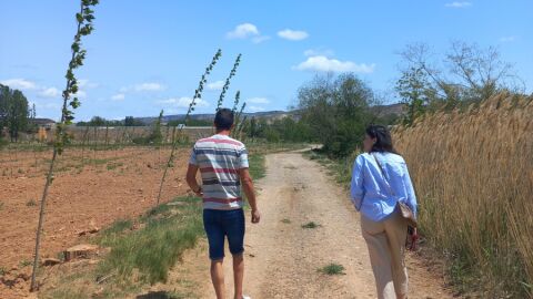 Visita a la plantación de chopos junto a Julio Escuder en Teruel cerca del río Alfambra