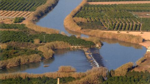 ASSUT DE LA MARQUESA CULLERA