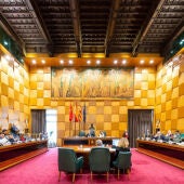 El Pleno Municipal pasa de seis a cuatro grupos 