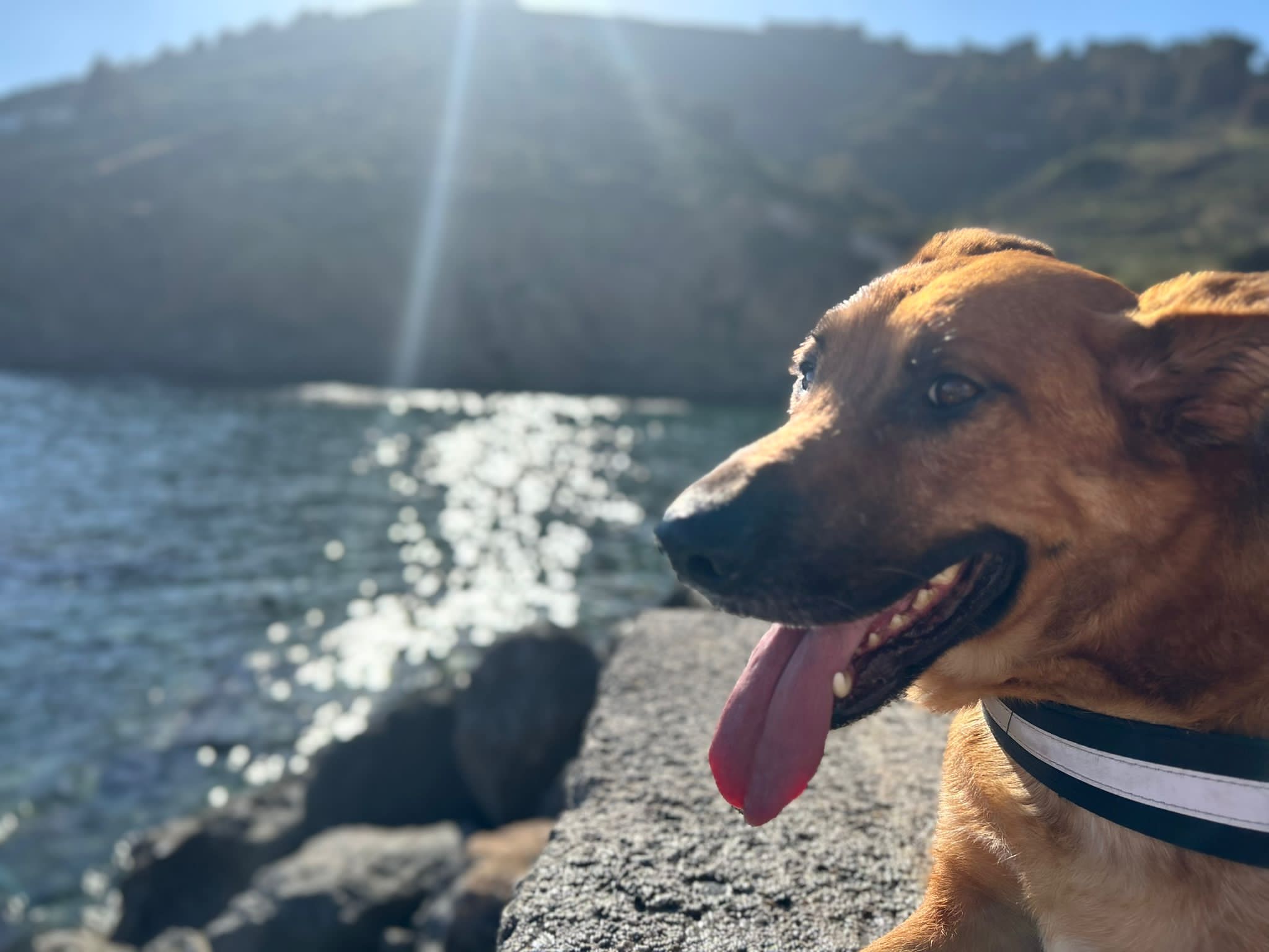 Más de Uno Ceuta 29/5/23 Más de Uno Ceuta 29/5/23