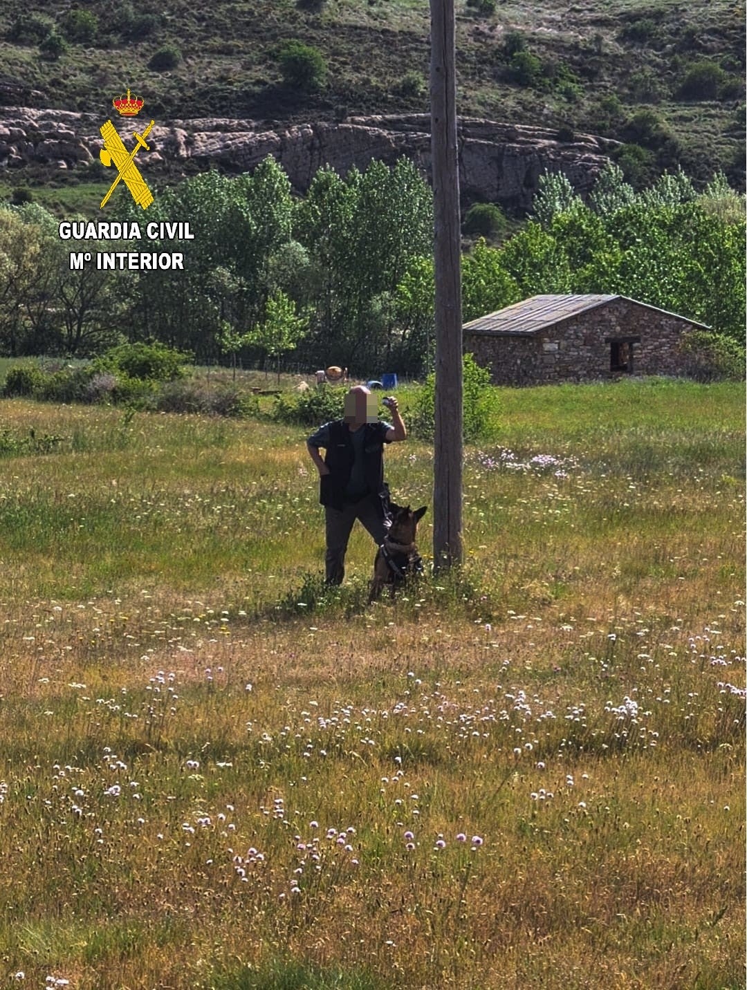 La Guardia Civil denuncia a una persona por el uso de herbicidas sin autorización en un jardín público de Aguilar de Campoo La Guardia Civil denuncia a una persona por el uso de herbicidas sin autorización en un jardín público de Aguilar de Campoo