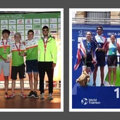 Podium Lacerta Podium Lacerta