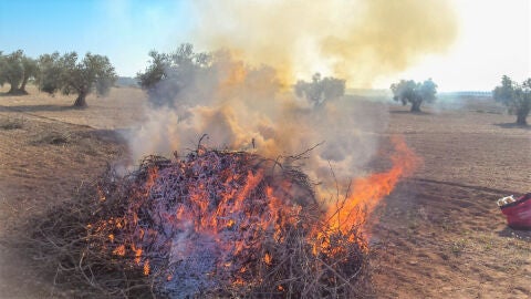 QUEMAS AGRÍCOLAS