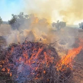 A Xunta prohibe desde este xoves as queimas agrícolas e forestais de particulares A Xunta prohibe desde este xoves as queimas agrícolas e forestais de particulares