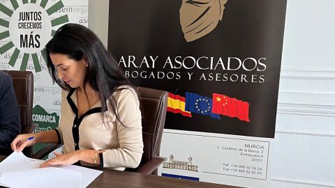 Aray Asociados