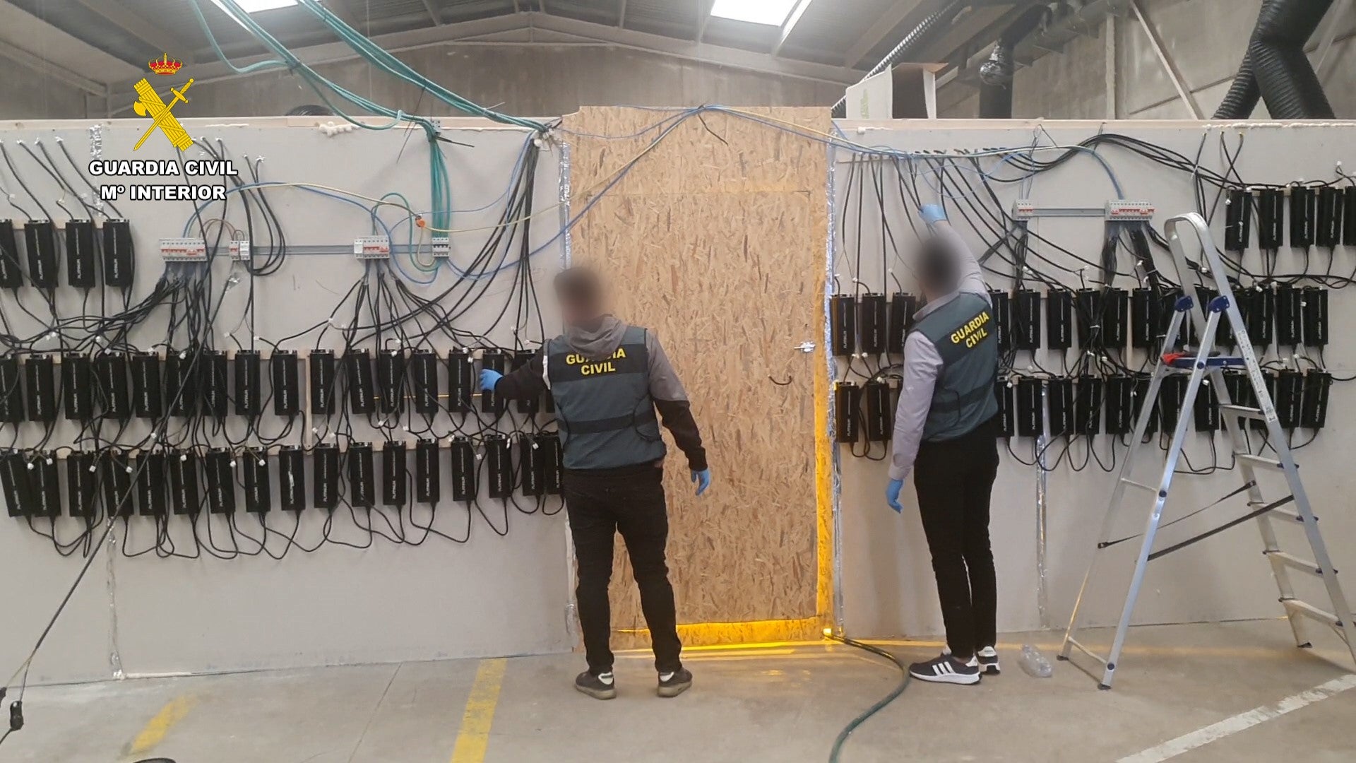 Cuatro detenidos por cultivo de marihuana 'indoor' en la provincia de Castellón Cuatro detenidos por cultivo de marihuana 'indoor' en la provincia de Castellón