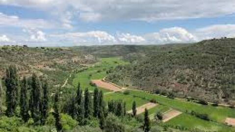 Paisaje de Guadalajara.