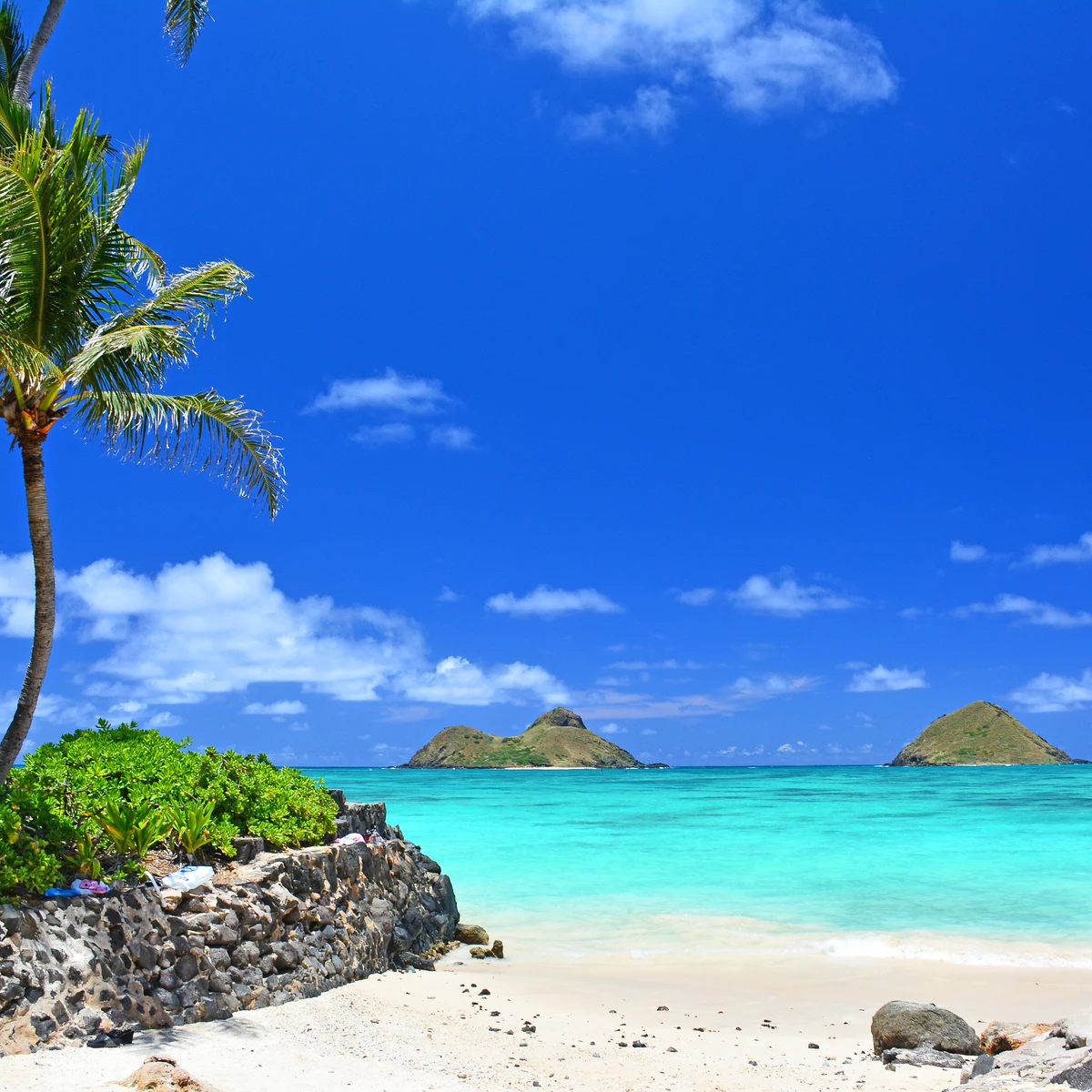 Estas islas privadas se pueden alquilar en verano: más de 200.000