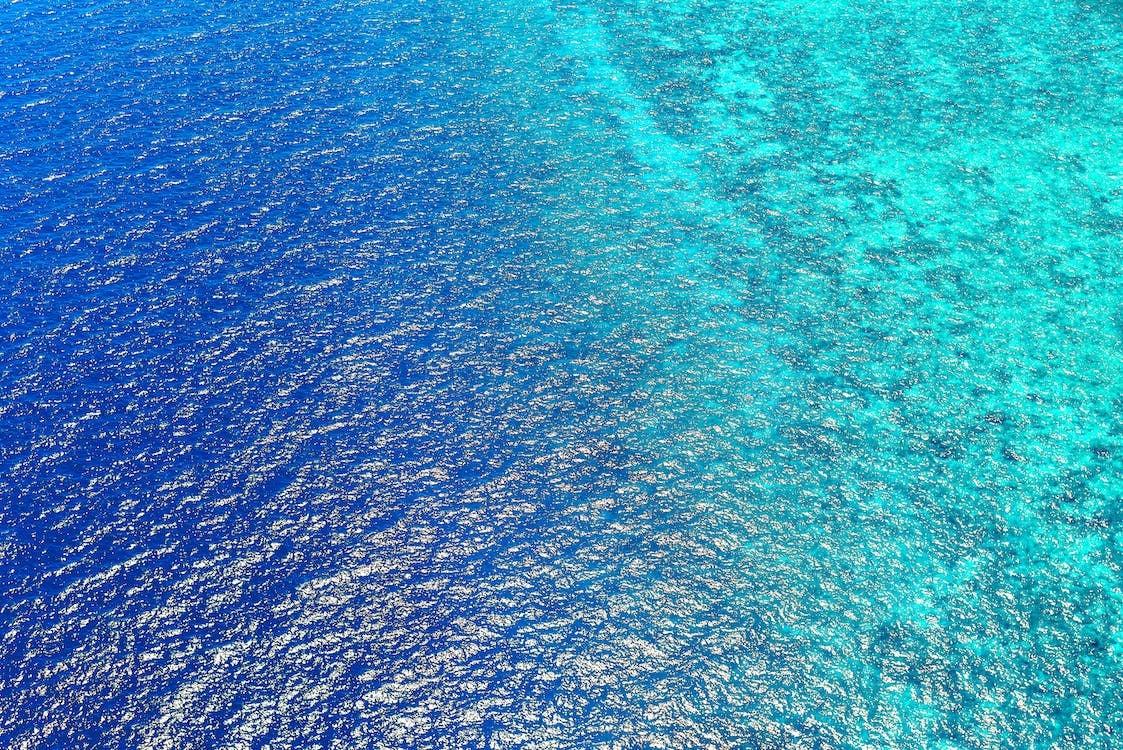 El Día Mundial del Medio Ambiente se conjura contra los plásticos en nuestros mares El Día Mundial del Medio Ambiente se conjura contra los plásticos en nuestros mares