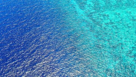 dia mundial de medio ambiente 