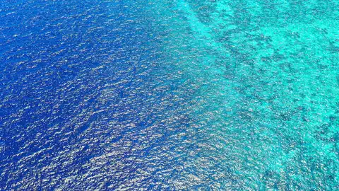 dia mundial de medio ambiente dia mundial de medio ambiente