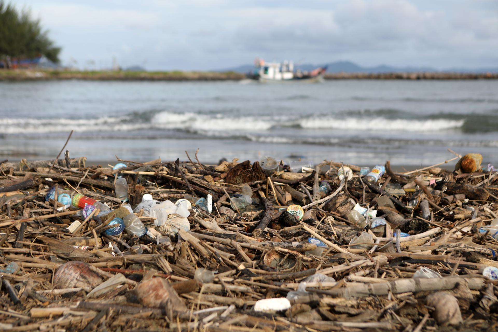 El Gabinete: El Parlamento Europeo quiere reglas más severas para cuidar el medioambiente El Gabinete: El Parlamento Europeo quiere reglas más severas para cuidar el medioambiente