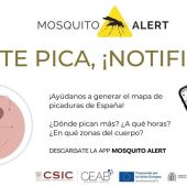 'Si te pica, ¡notifica!', la nueva aplicación de Sanidad para vigilar los mosquitos