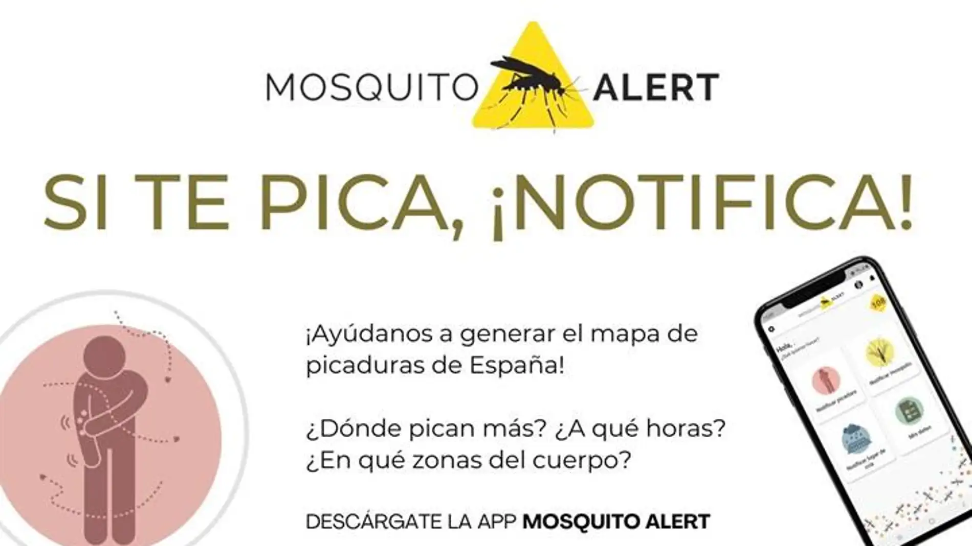 'Si te pica, ¡notifica!', la nueva aplicación de Sanidad para vigilar los mosquitos