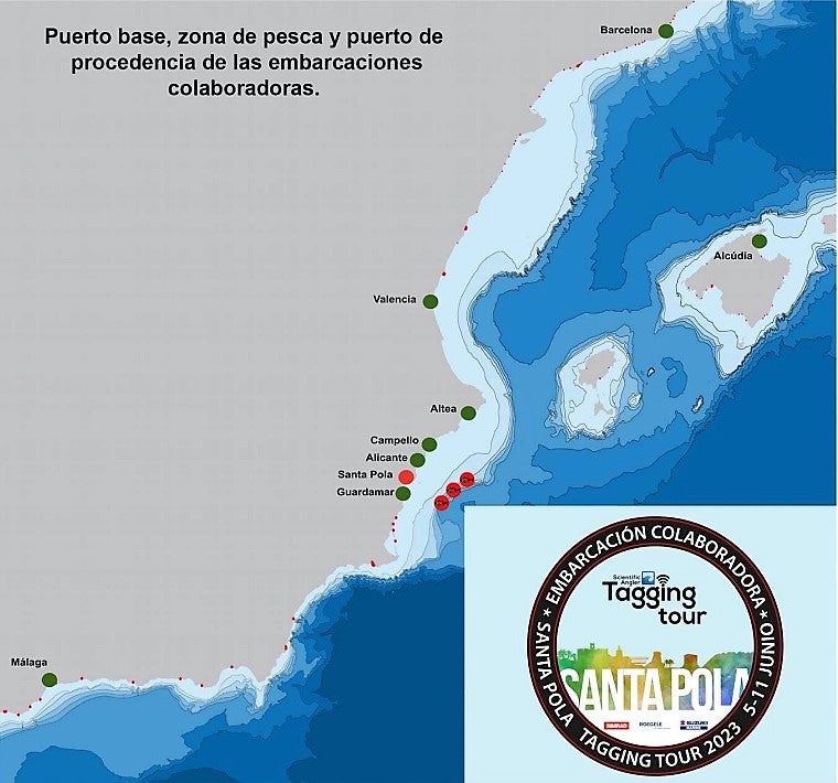 Santa Pola recibe este fin de semana a científicos franceses en una jornada de marcaje electrónico de atunes Santa Pola recibe este fin de semana a científicos franceses en una jornada de marcaje electrónico de atunes
