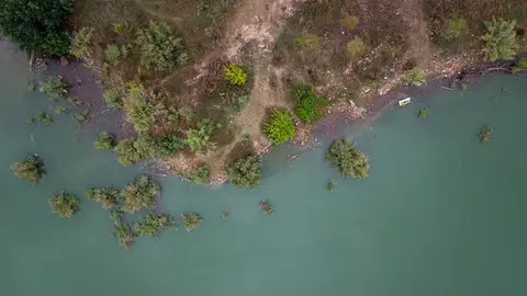 Detalle reciente del embalse de Bellús (Valencia) Detalle reciente del embalse de Bellús (Valencia)./EFE/Biel Aliño