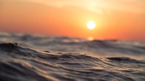 La exposici&oacute;n al sol debe ser moderada