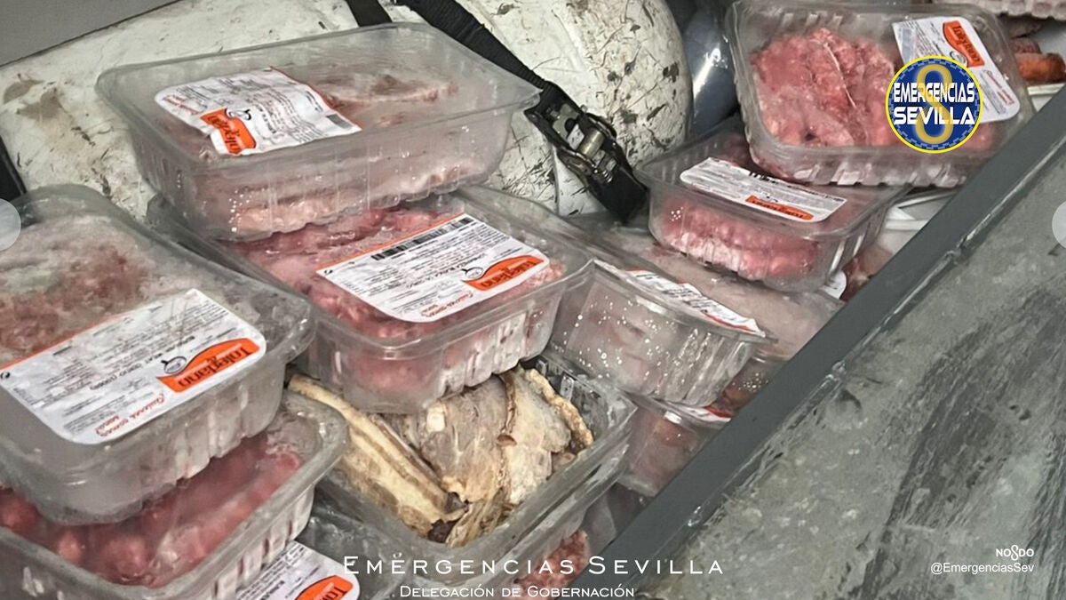 Intervenidos 100 kilos de carne que se vendían de forma ilegal en el concierto de Manuel Carrasco Intervenidos 100 kilos de carne que se vendían de forma ilegal en el concierto de Manuel Carrasco