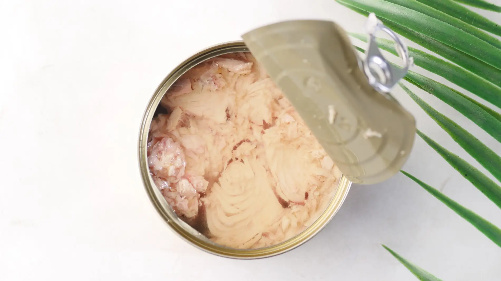 Estas son las mejores latas de atún del supermercado, según la OCU