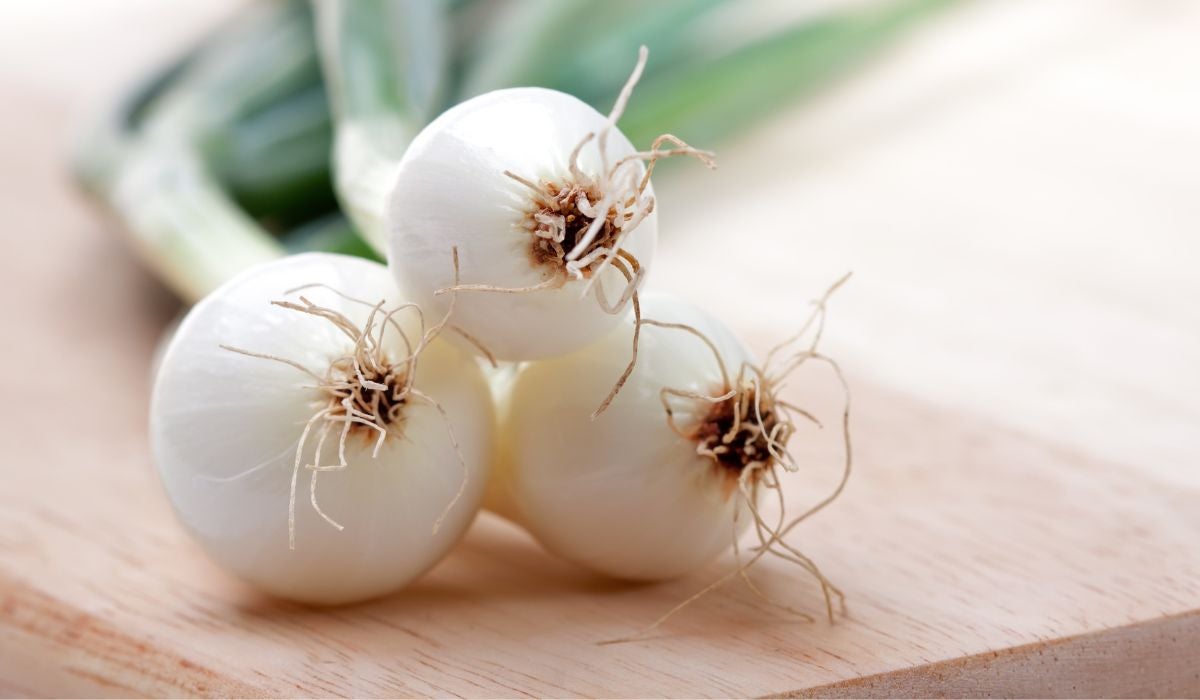 La cebolleta: Cómo utilizarla, recetas y trucos La cebolleta: Cómo utilizarla, recetas y trucos