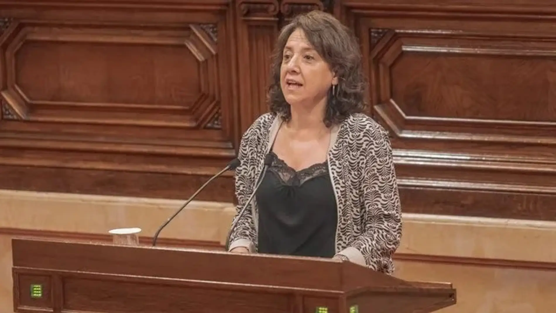 Anna Erra, en una intervenció al Parlament
