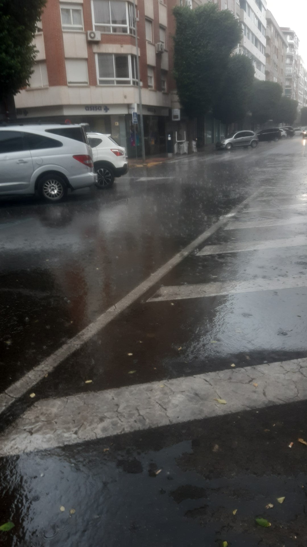 "Óscar" dejó ayer 25 litros en Abenójar y 24 en Ciudad Real "Óscar" dejó ayer 25 litros en Abenójar y 24 en Ciudad Real