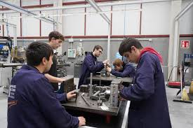 Formación Profesional dual Formación Profesional dual